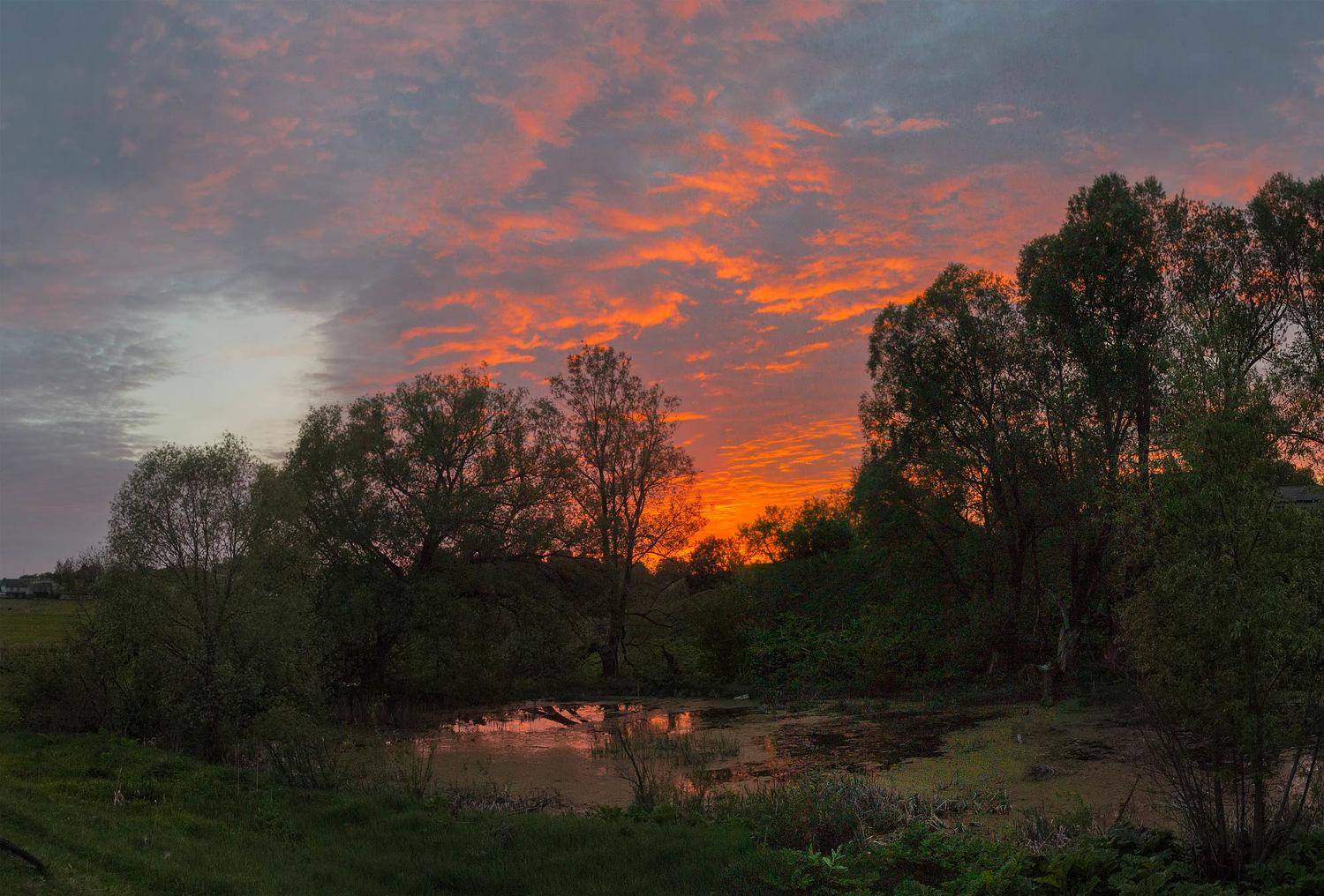 , Александр