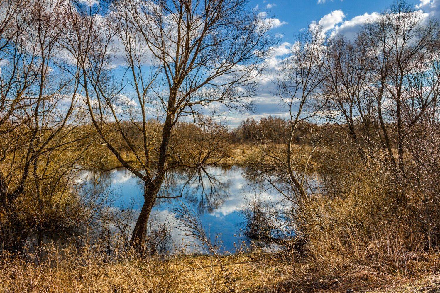 , Руслан Востриков