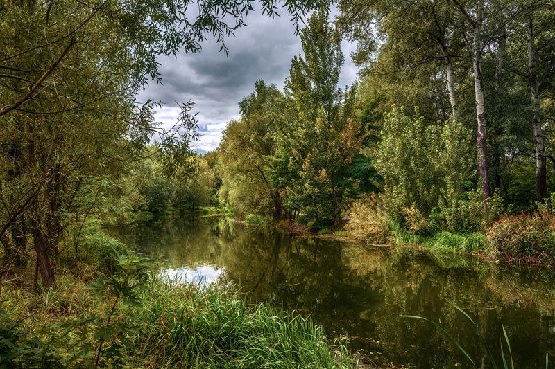 у реки фото превью