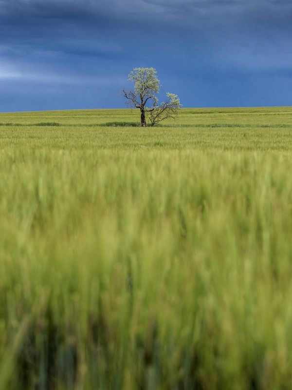 loneliness фото превью