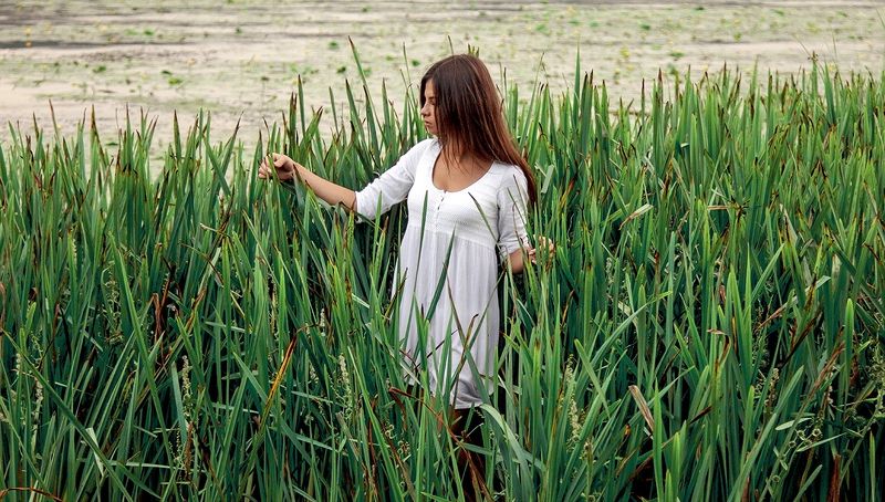 *** фото превью