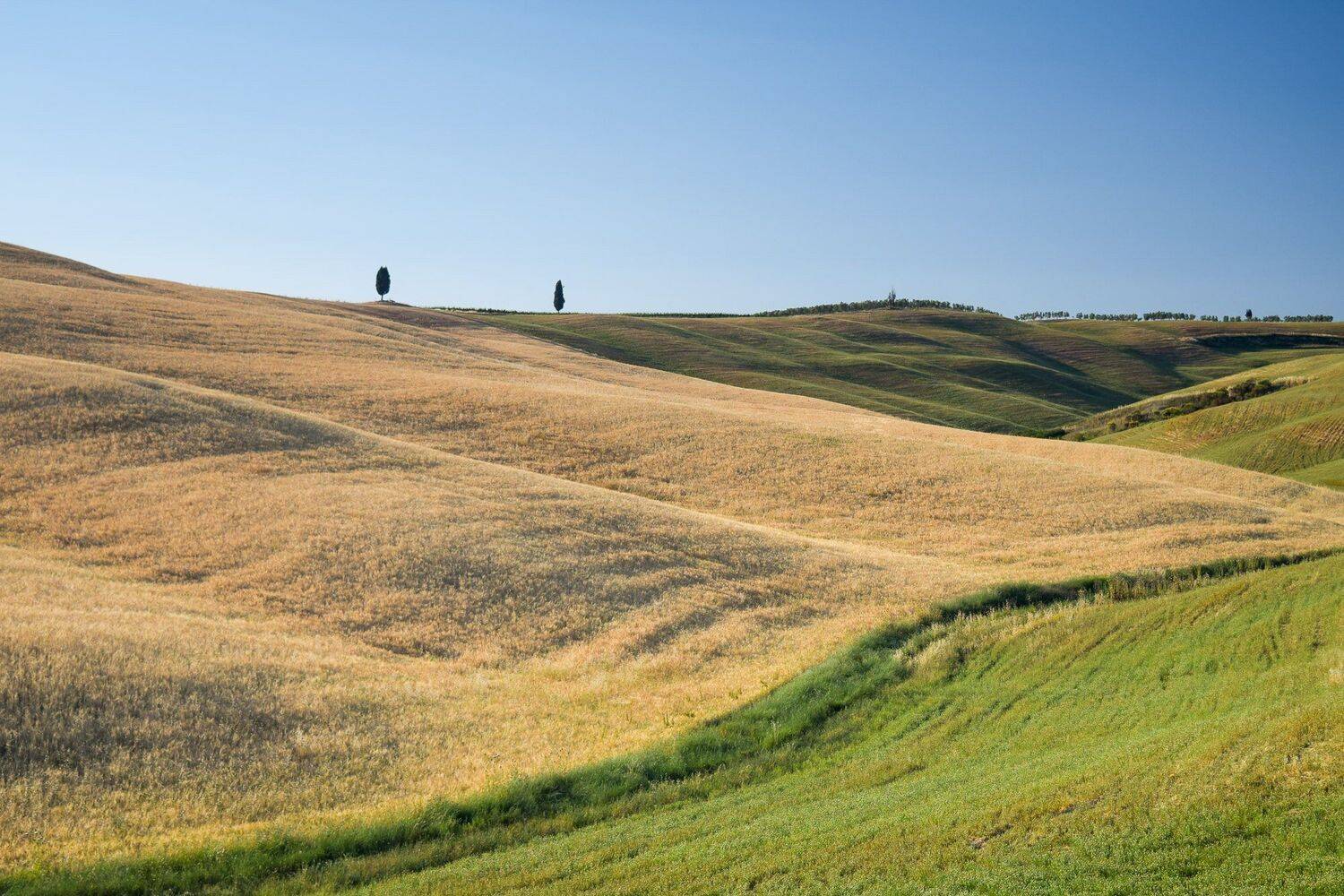 тоскана, Исаков Дмитрий