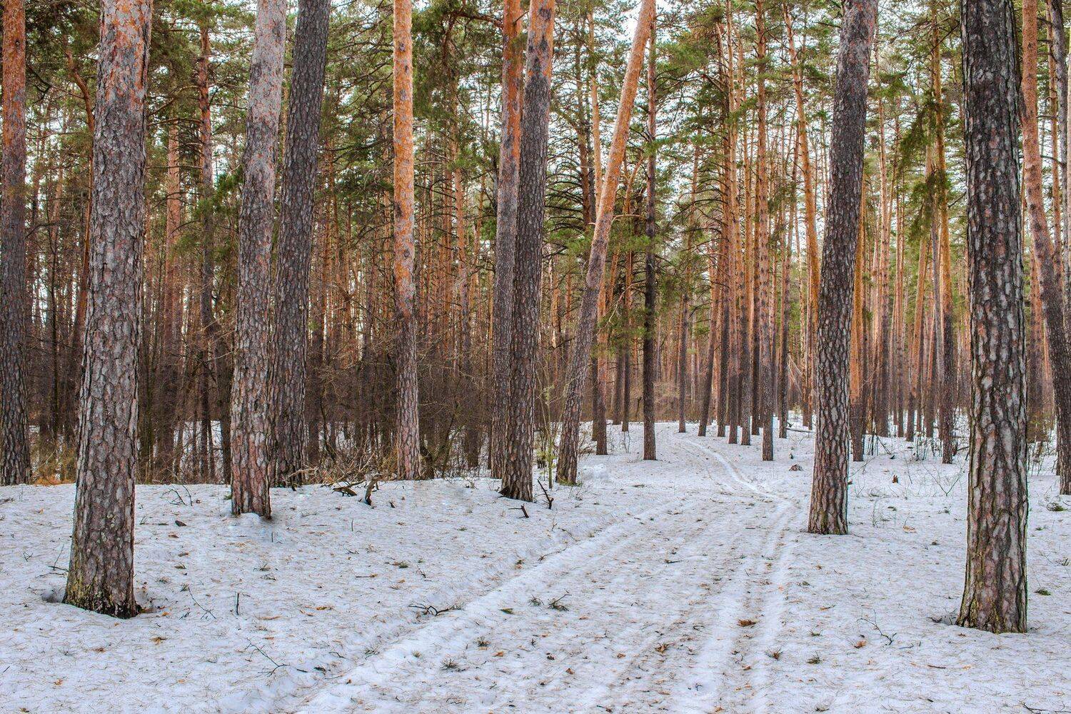 , Руслан Востриков