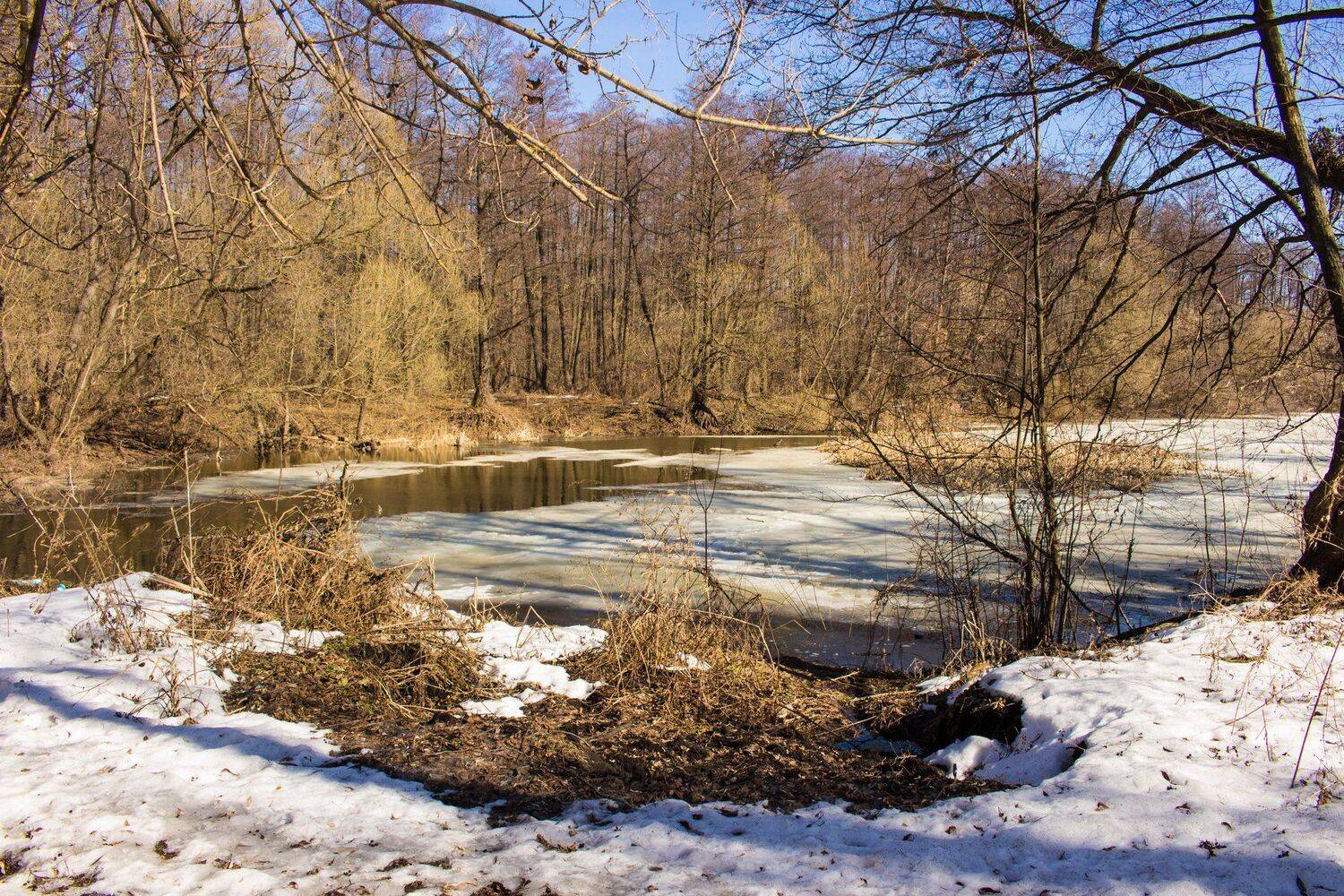 , Руслан Востриков