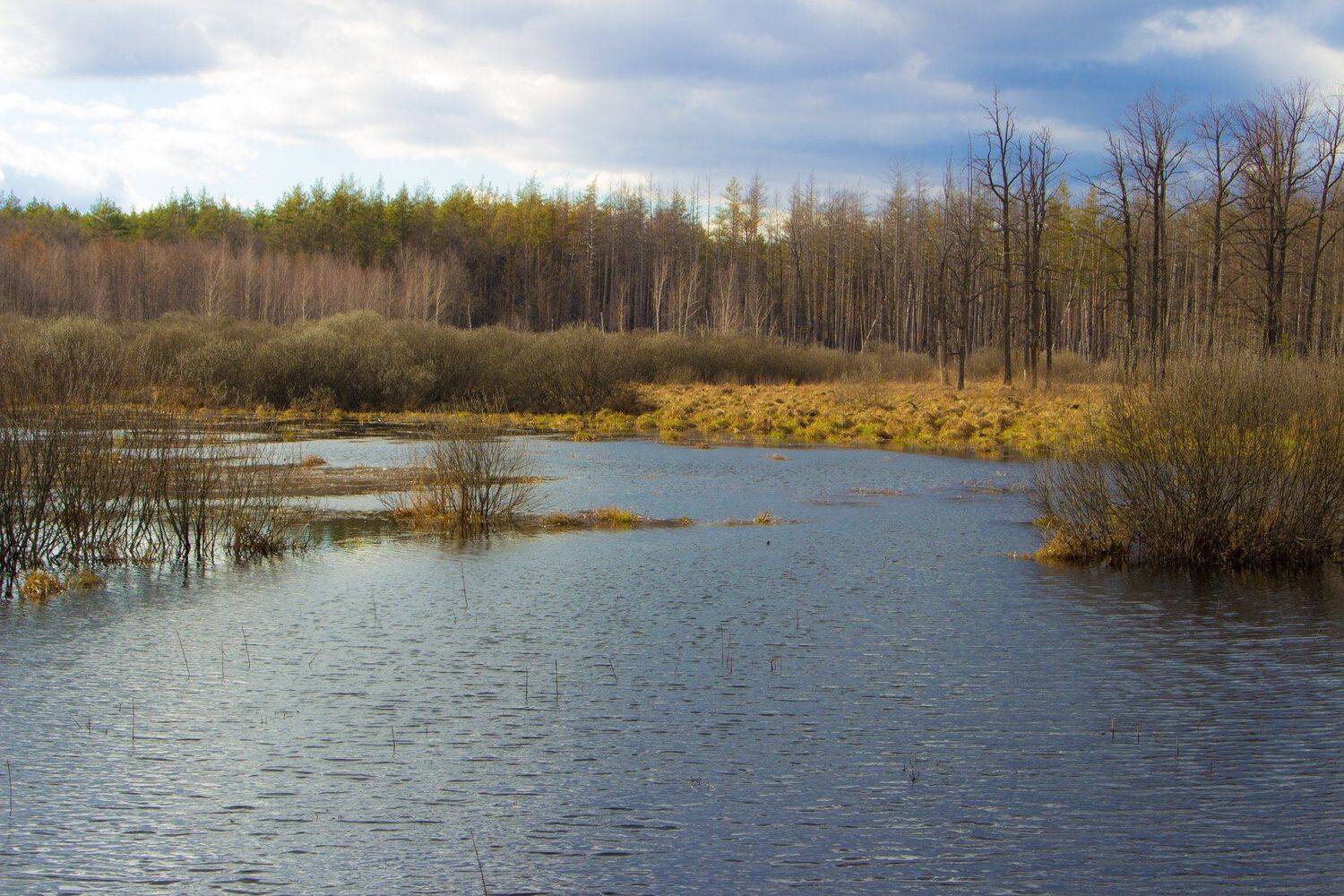 , Руслан Востриков