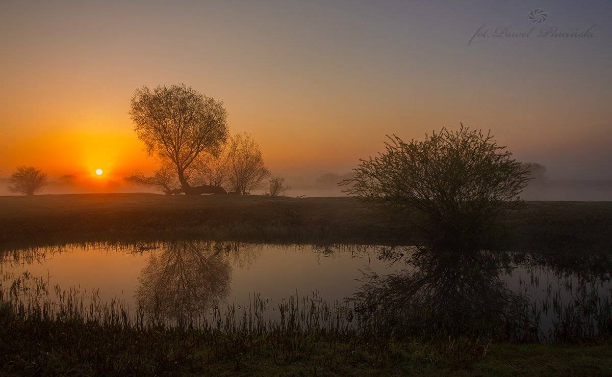 , Pawel Plucinski