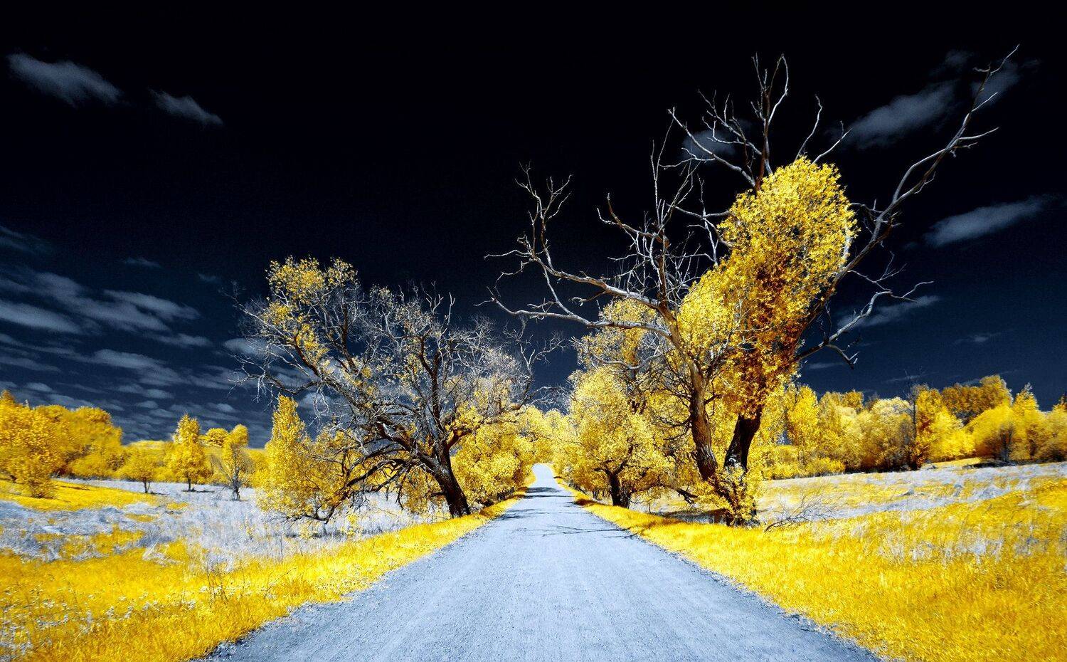 infrared,ик-фото,инфракрасное фото,инфракрасная фотография,пейзаж,природа,беларусь,весна,инфракрасная съемка, Sixten ( Сергей )