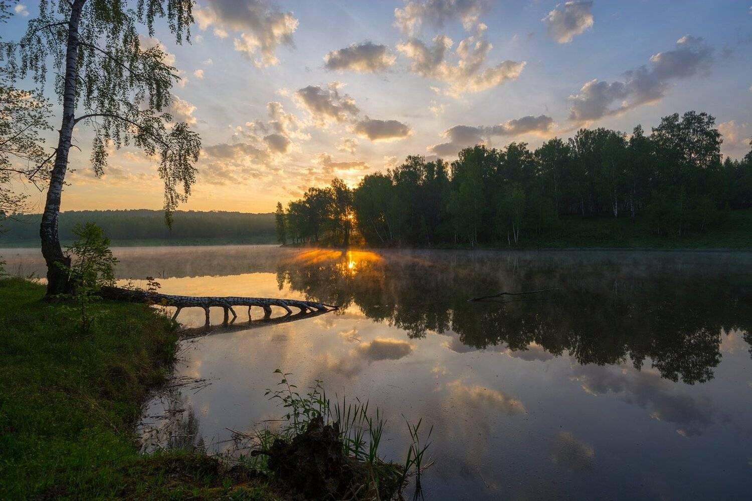 , Руслан Сигушин