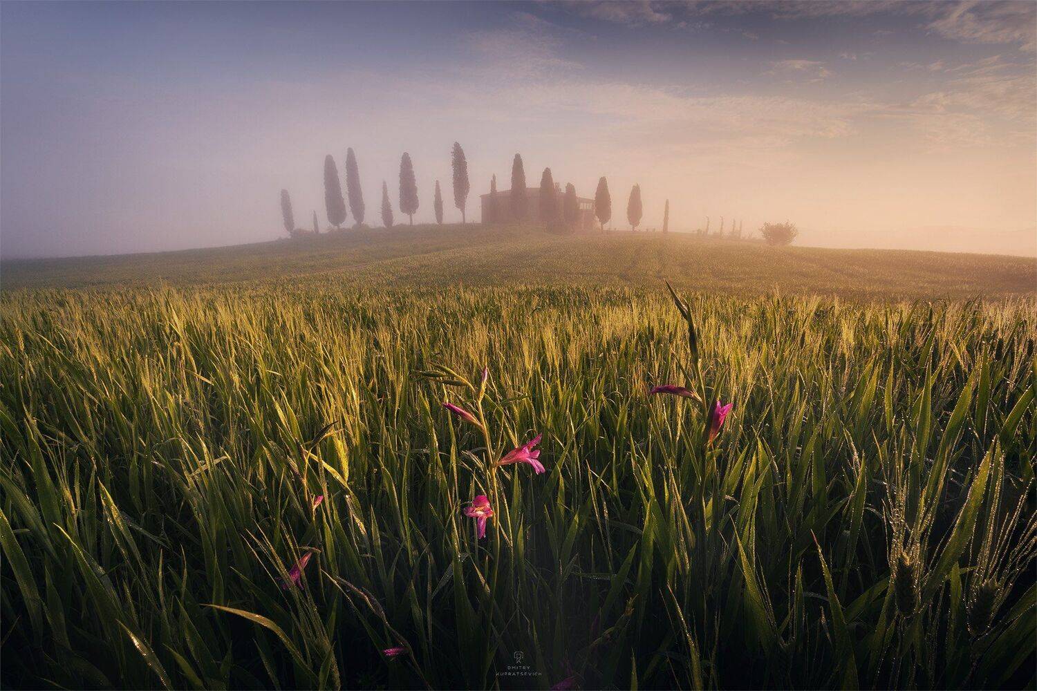 , Дмитрий Купрацевич