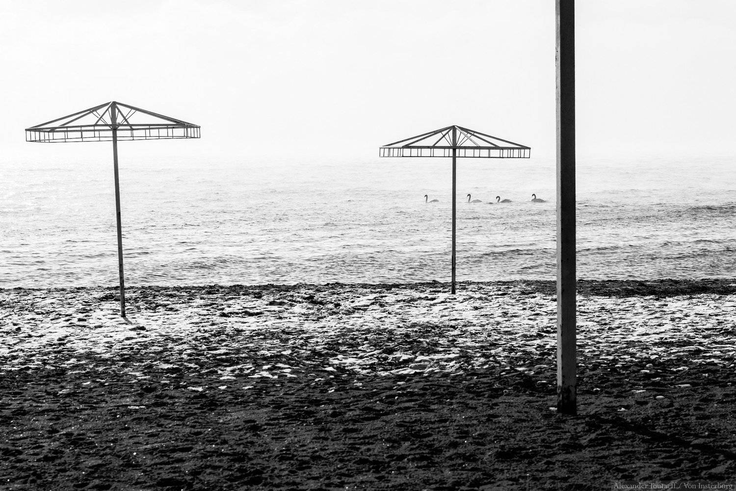 море, пейзаж, ч/б, монохром, минимализм, seascape, sea, minimalism, monochrome, blackandwhite, swans, птицы, лебеди, АлександрТутаев