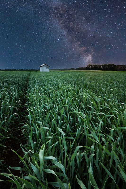 Oдин в ночи фото превью