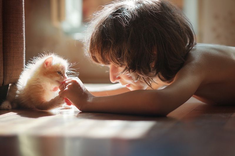 * фото превью