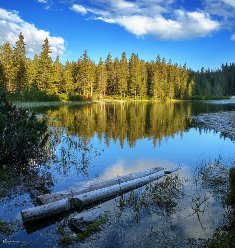 snow., mountain, .glacier.evergreen, .snowfall., ridge, .snowy., slope, .mountain., peak., mountain., range., snowcapped., mt, foraker. Maricheyka фото превью