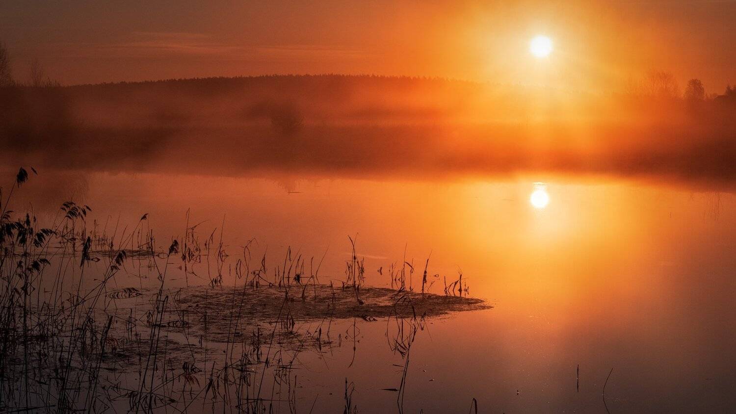 пейзаж, природа, весна, разлив, утро, рассвет, туман, солнце, восход, Андрей Чиж