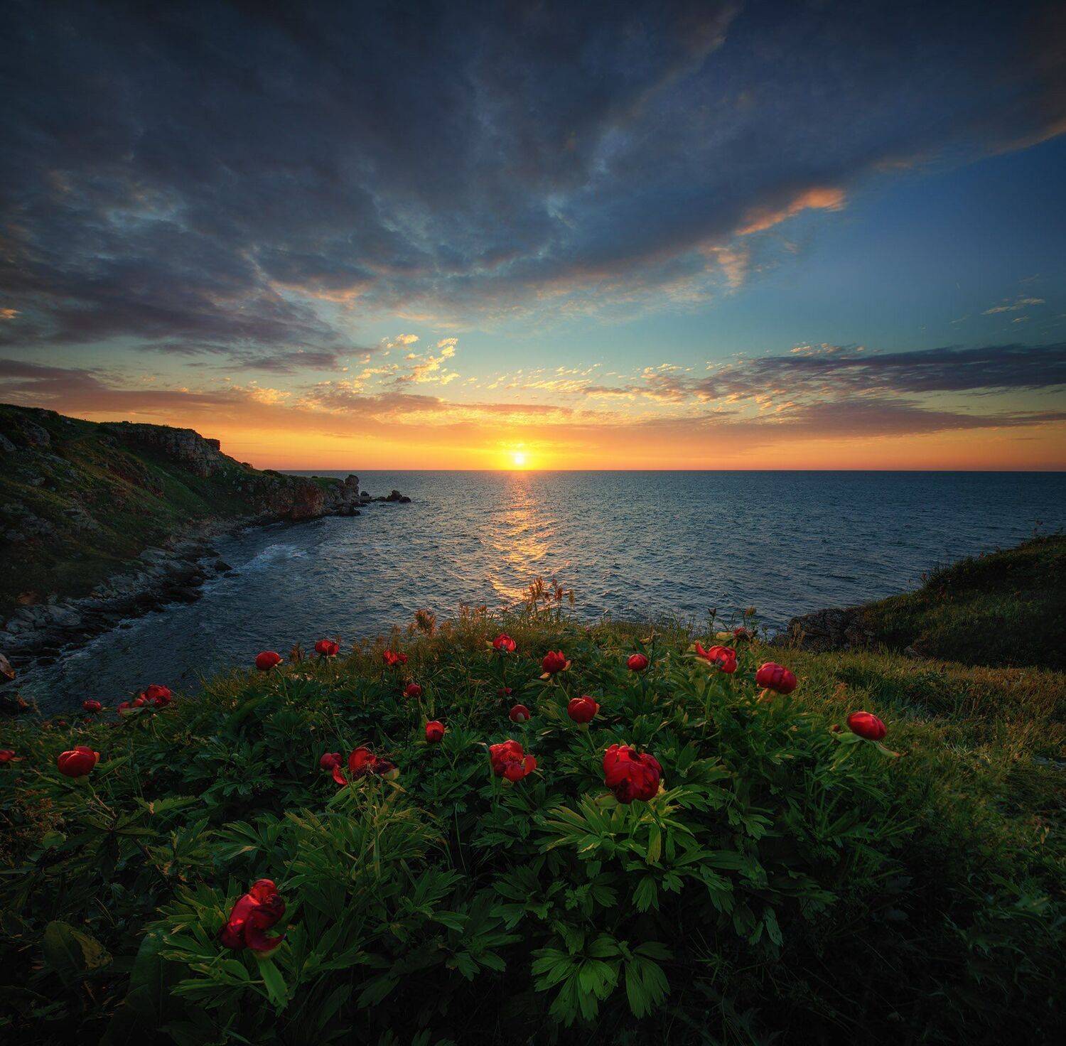 , Красимир Матаров