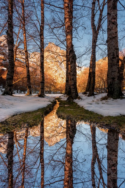 Hugo, Só, HugoSó, Nikon, D810, NikonD810, PNSE, Portugal, Europe, SerraDaEstrela, Estrela, Serra, Reflexes, Mirror The Magic Forest фото превью