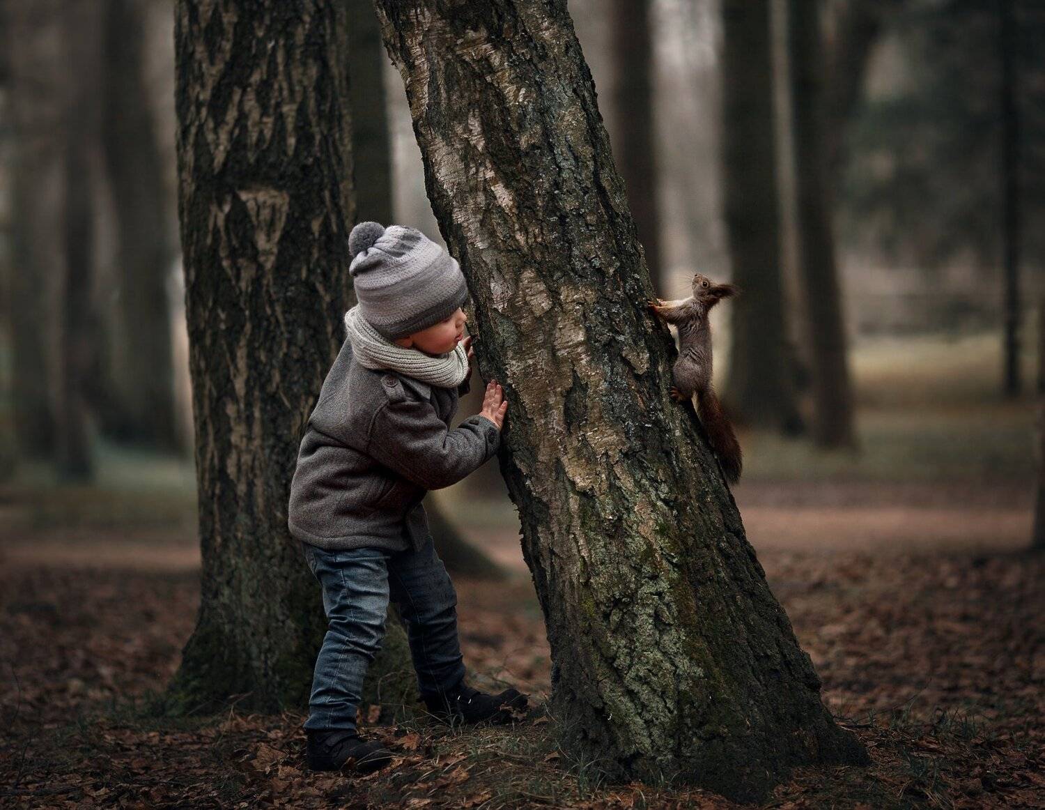 , Елена Силина