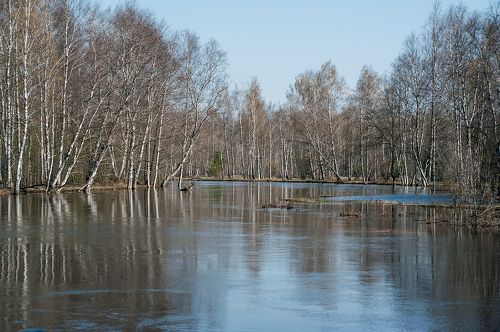 Pro Мещёрскую весну и её отражения …