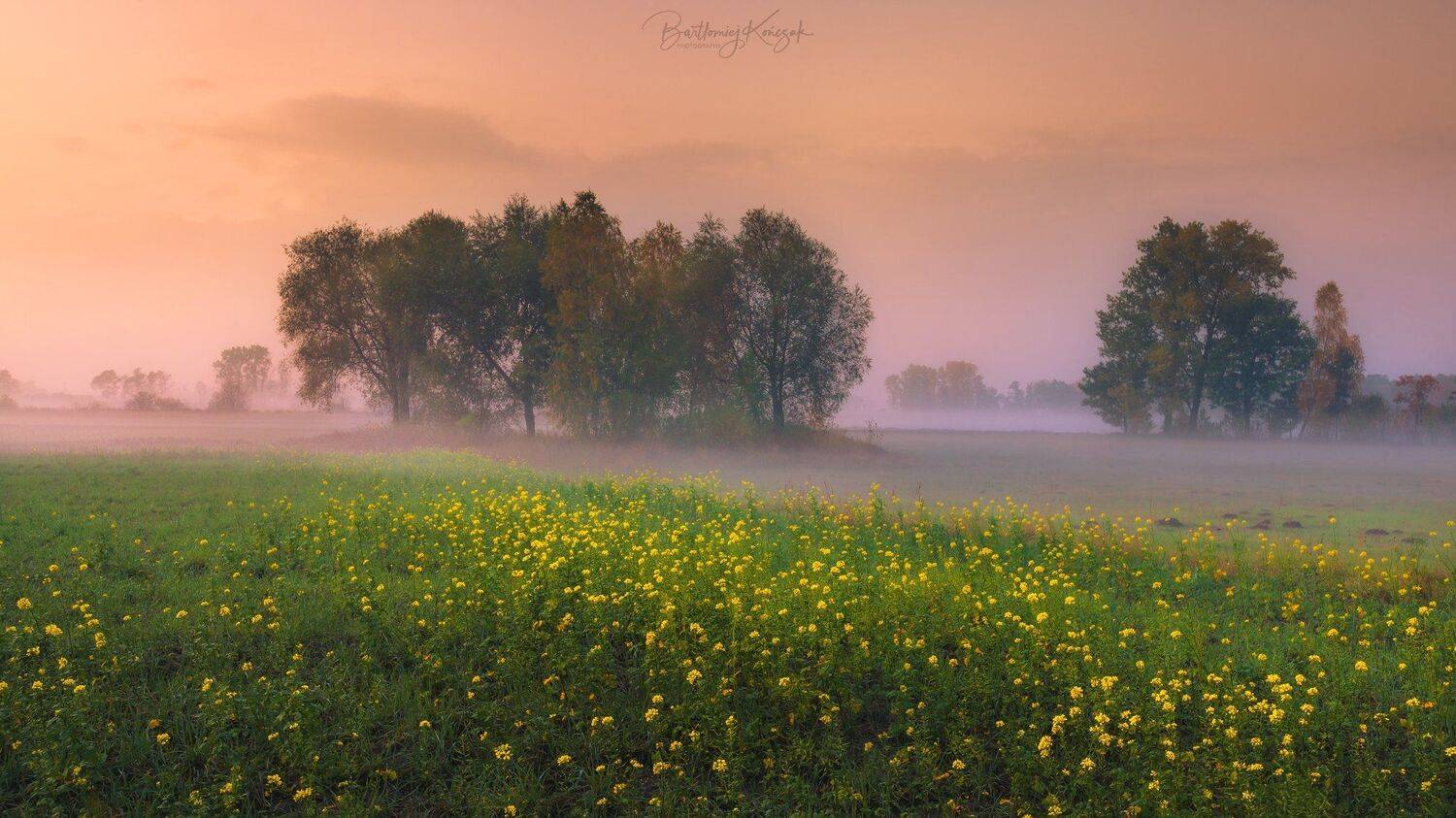 , Bartłomiej Kończak