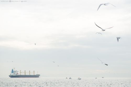 Aquatory – Акватория