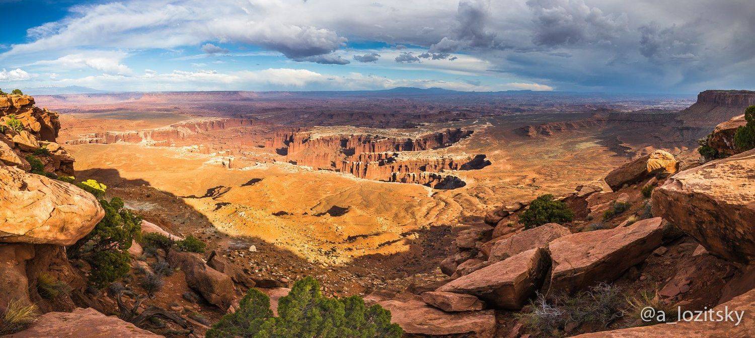 , Александр Лозицкий