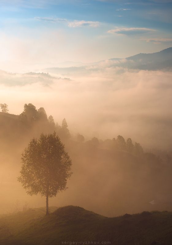 карпаты, горы, утро, туман, пейзаж, природа, украина, nature, carpathians, ukraine, landscape, *** фото превью