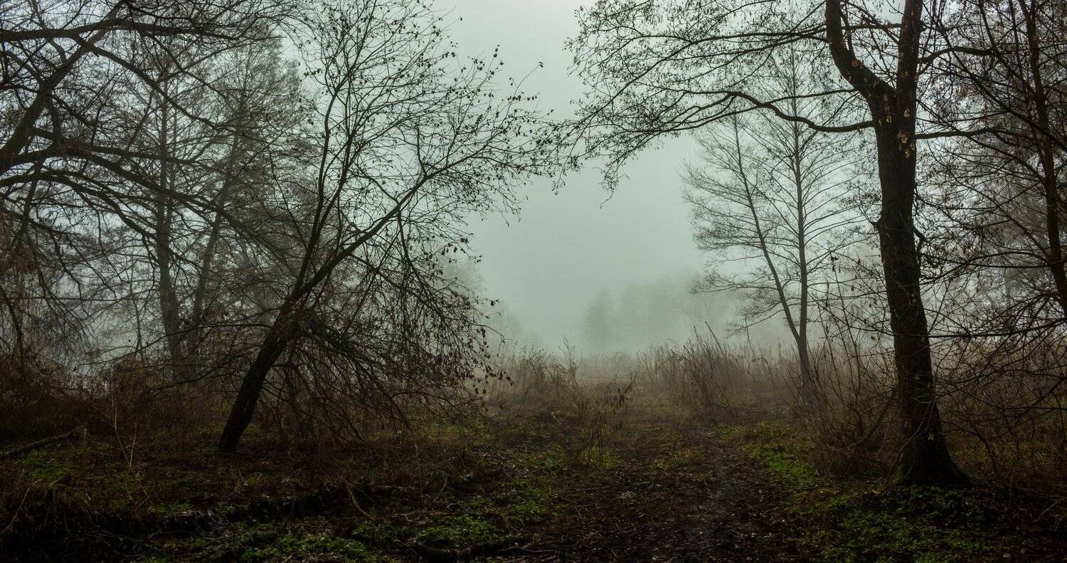 , Руслан Востриков