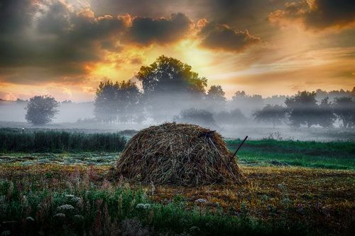 Раннее утро