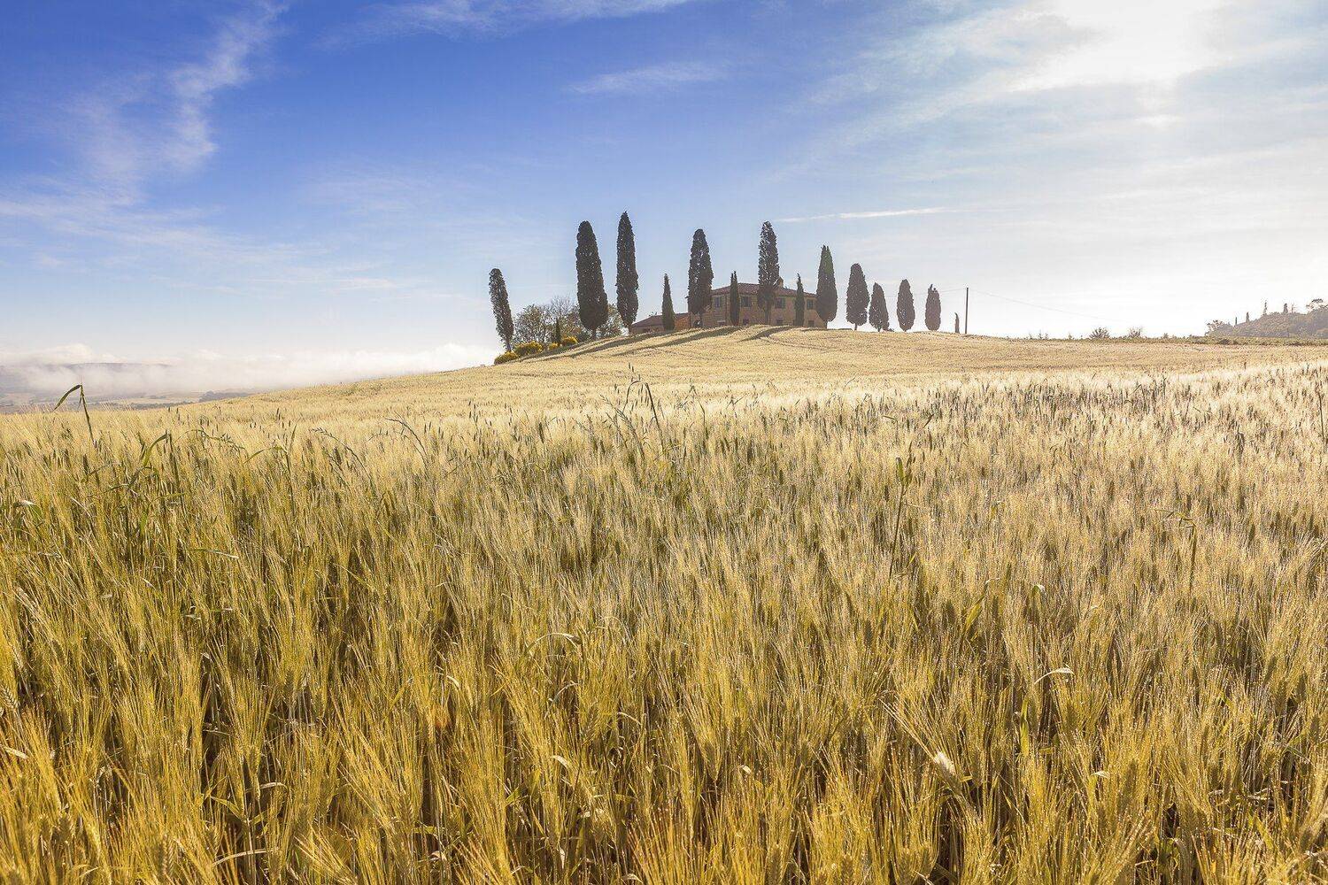 Italy, Tuscany, Pienza, Landscape, Igor Sokolovsky