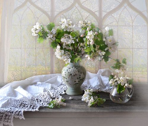 Яблони цвет...