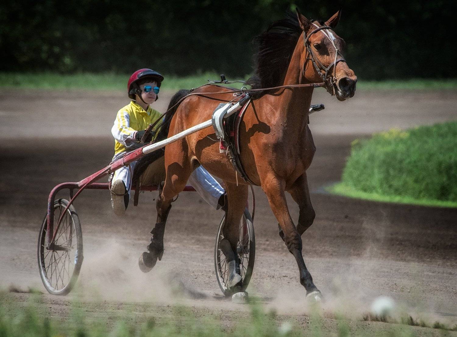 , Юрий Юрьев