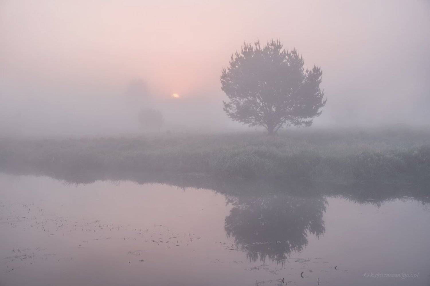 , Katarzyna Gritzmann