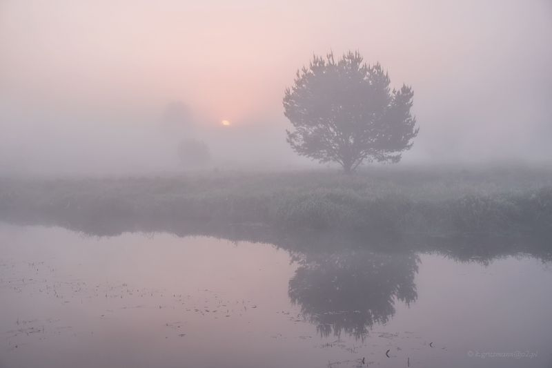 ... фото превью