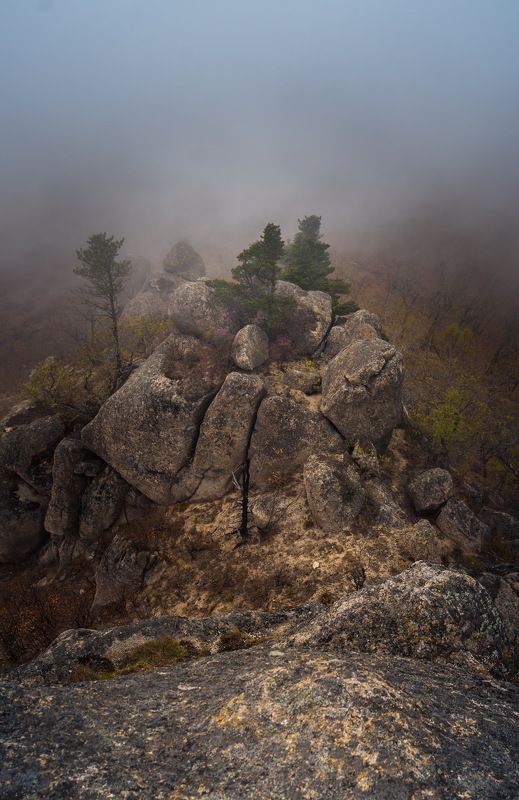 В объятиях тумана фото превью