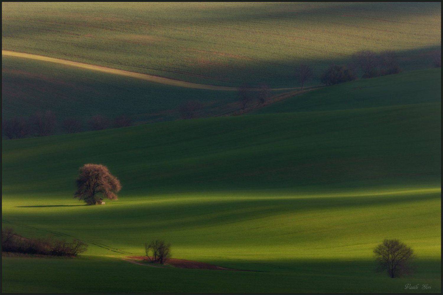 южная моравия,hils,линии,south moravian,волны,lines,свет,czech,весна,чехия,landscapes,минимализм,груша., Василий Гори