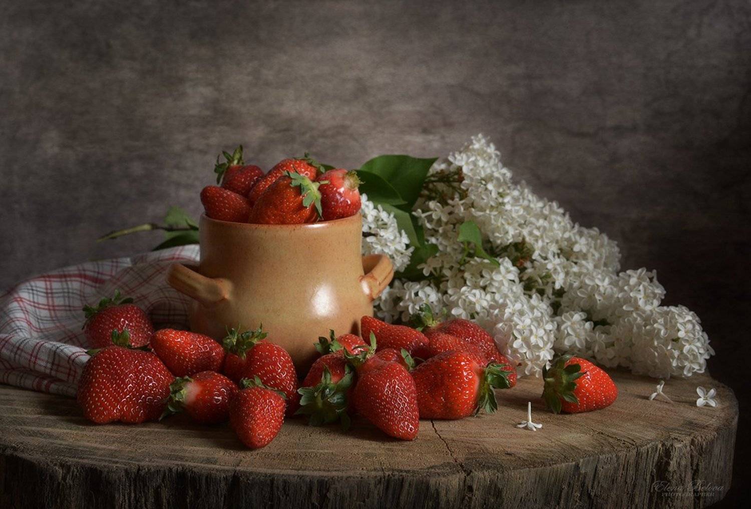 , Елена Белова