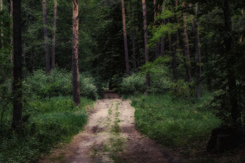 дорога не туда фото превью