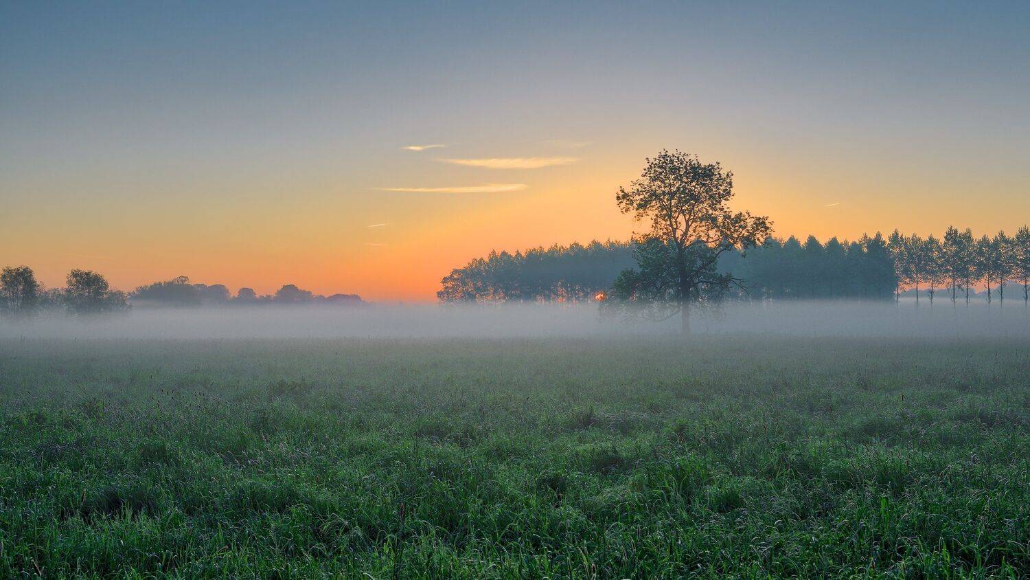 , Эдуард Горобец