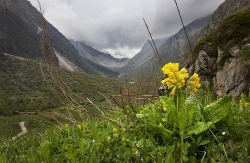 Солнце под облаками