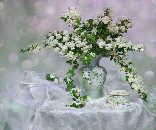 Вы поедете на бал?