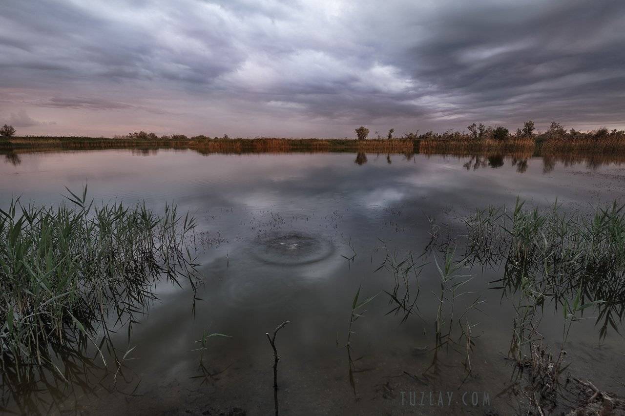 темрюк, таманский полуостров, таманская рыбалка, Владимир Тузлай