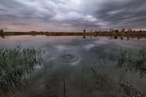 А рыбаки так и не пришли...