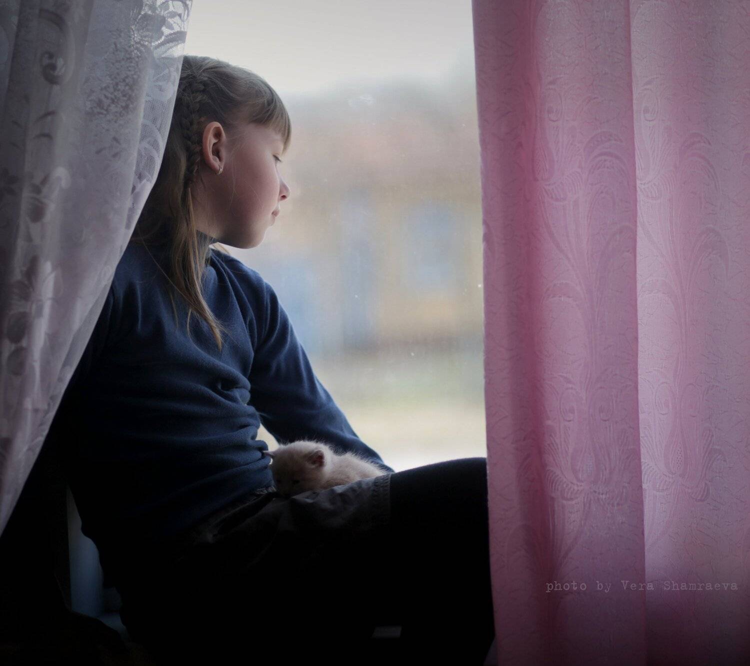 дети котята утро , Вера Шамраева