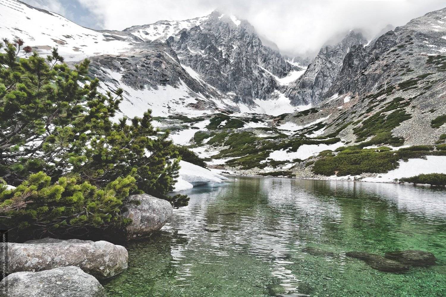 , Анна Аринова