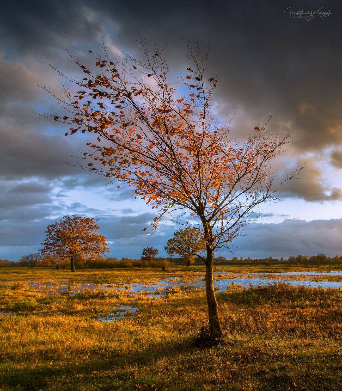 , Bartłomiej Kończak