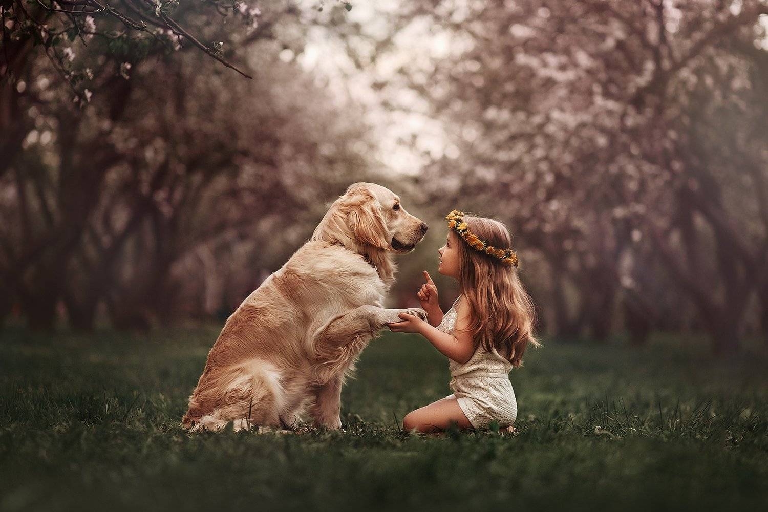 , Никитина Анна