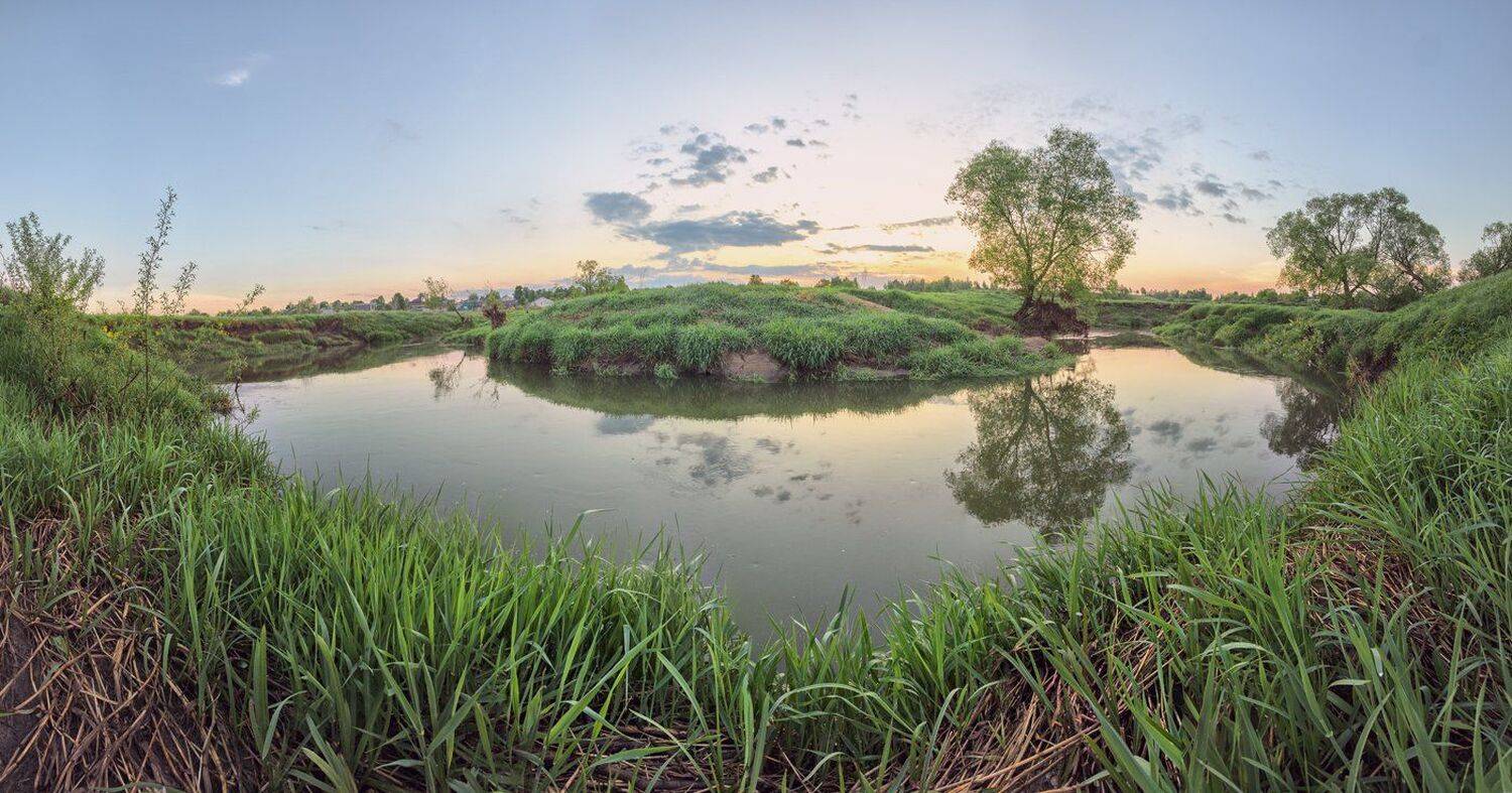 , Николай Андреев