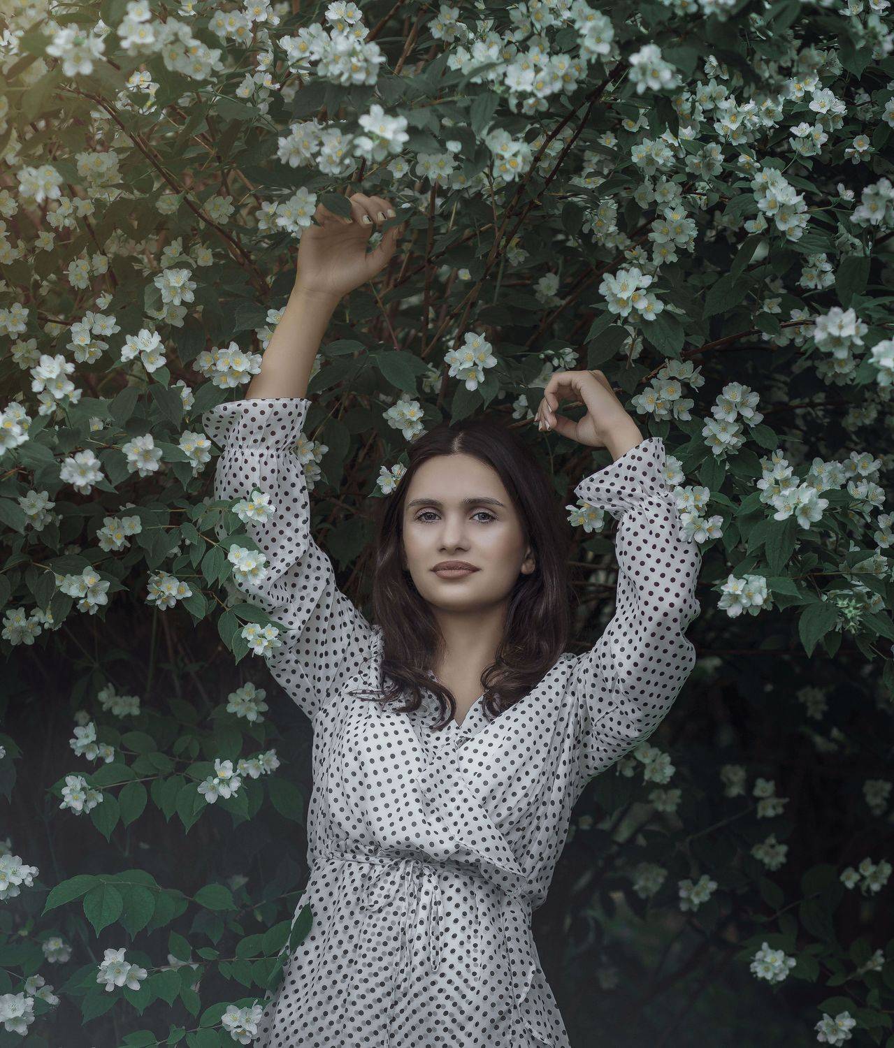 #art , solomnishvili giorgi