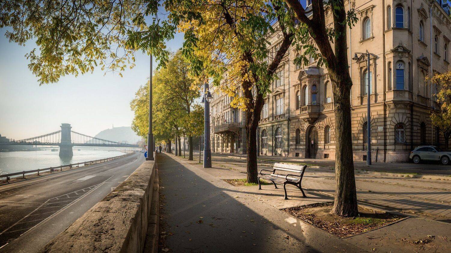 , Антон Кононов