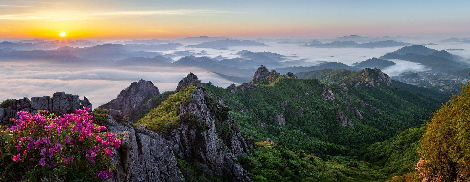 , Jaeyoun Ryu